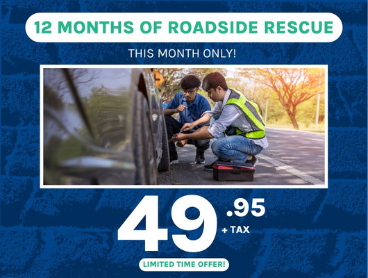 12 Months of Roadside Rescue