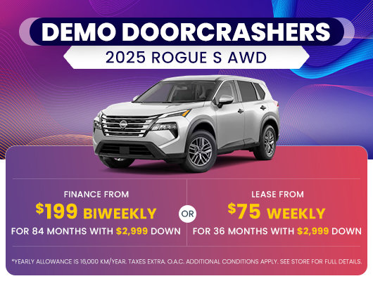 Demo Doorcrashers - Rogue S