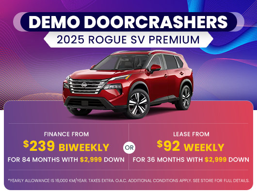 Demo Doorcrashers - Rogue SV Premium