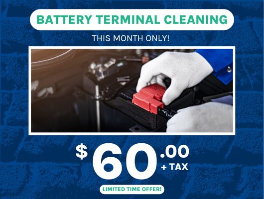 Battery Terminal Cleaning