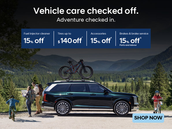 Hyundai Service Campaign