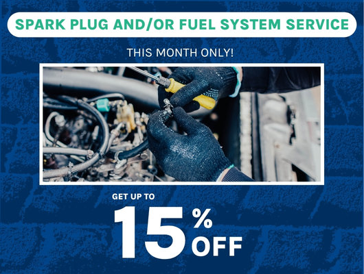 Spark Plug Replacement and/or Fuel System Service