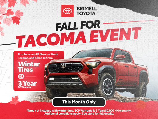 Fall For Tacoma Sale