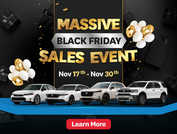 Massive Black Friday Sales Event