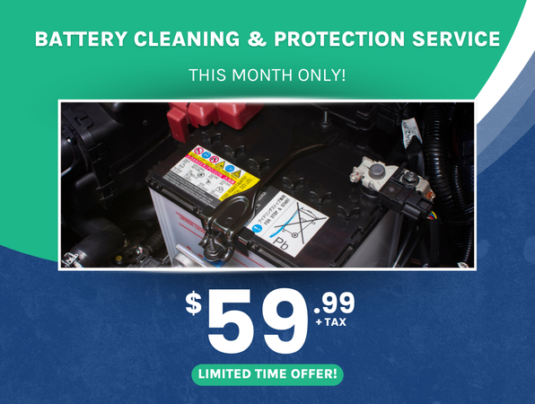 Battery Cleaning & Protection Service