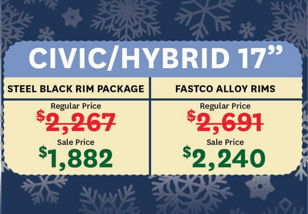 Civic Hybrid Winter Tire Package