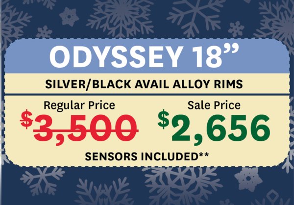 Odyssey Winter Tire Package