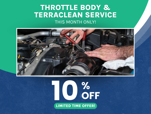Throttle Body & Terra Clean Service Special