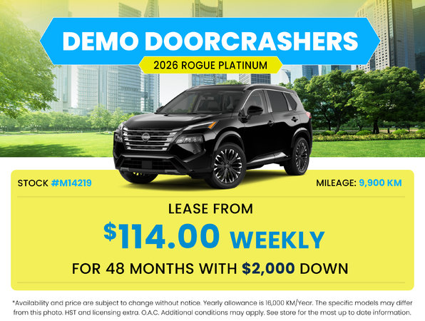 Demo Doorcrashers - Rogue Platinum
