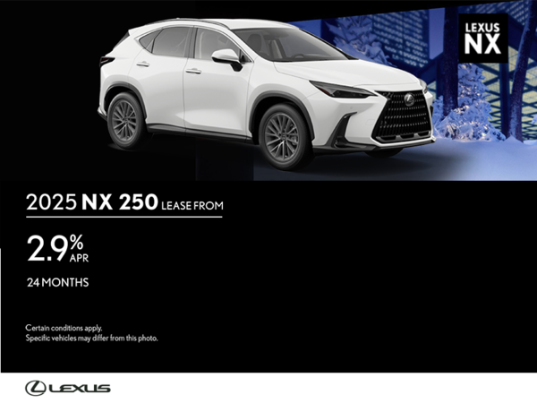 2025 Lexus NX 250