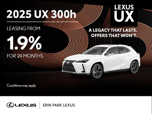 2025 UX 300H