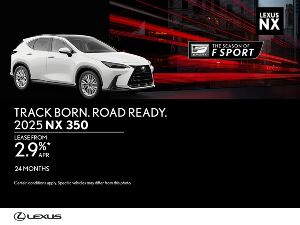 2025 Lexus NX 350