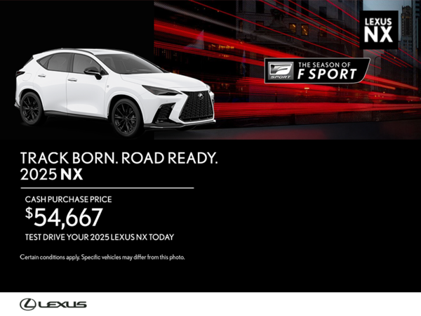 2025 Lexus NX 250