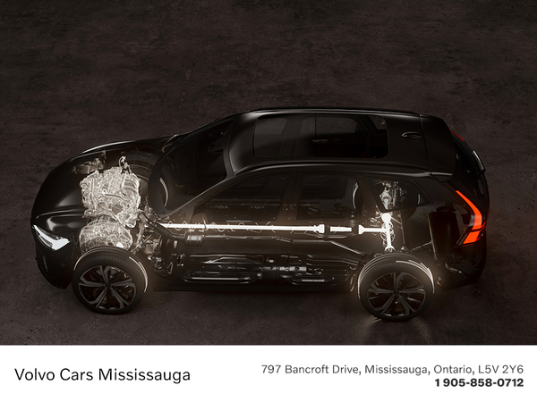 Optimisation Polestar Engineered