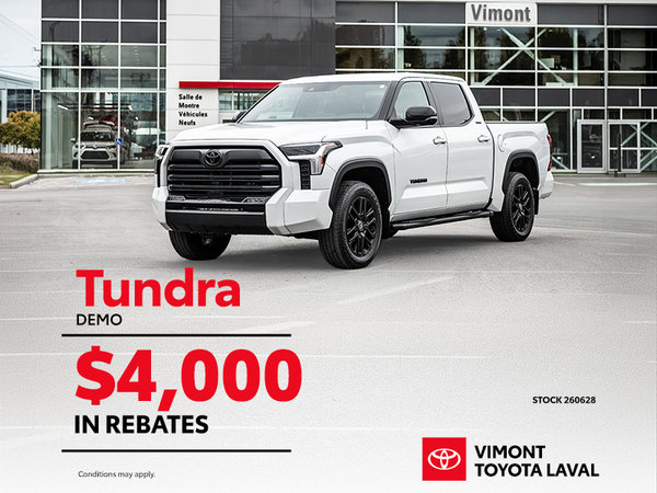 Tundra Demo