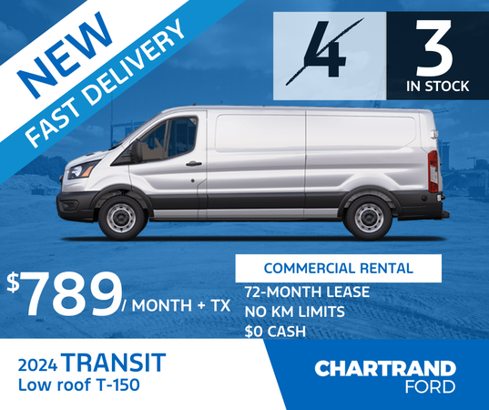 Transit T-150 2024 Low Roof : Only 3 left