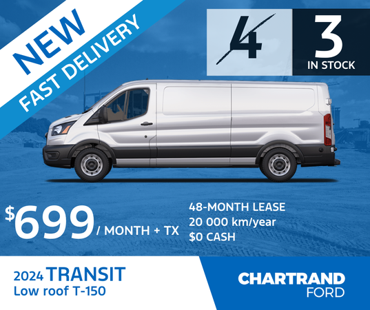 Transit T-150 2024 Low Roof : Only 3 left