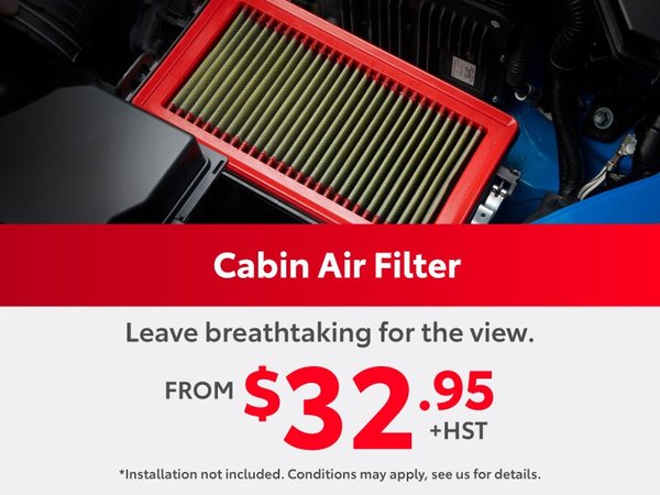 Cabin Air Filter