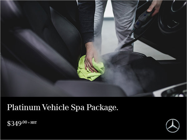 Platinum Vehicle Spa Package