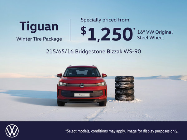 VW Tiguan Steel Winter Tire Package