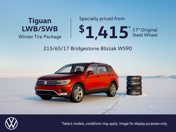 VW Tiguan LWB-SWB Steel Winter Tire Package