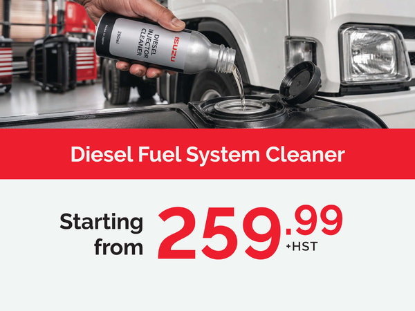 Isuzu Diesel Fuel System Clean