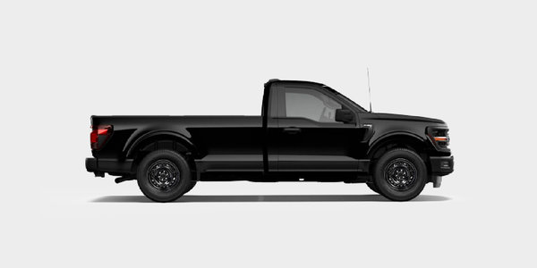 Ford F-150 STEEL Winter Tire Packages