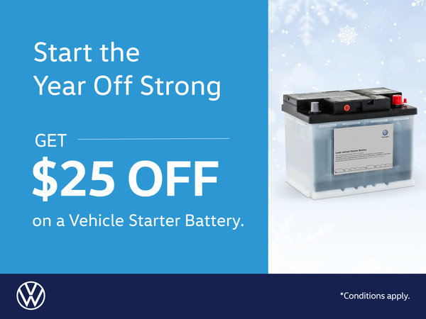 Vehicle Starter Battery Offer