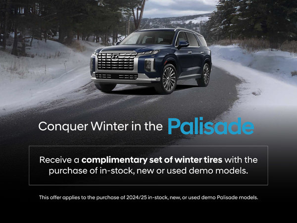 Hyundai Palisade Winter Special