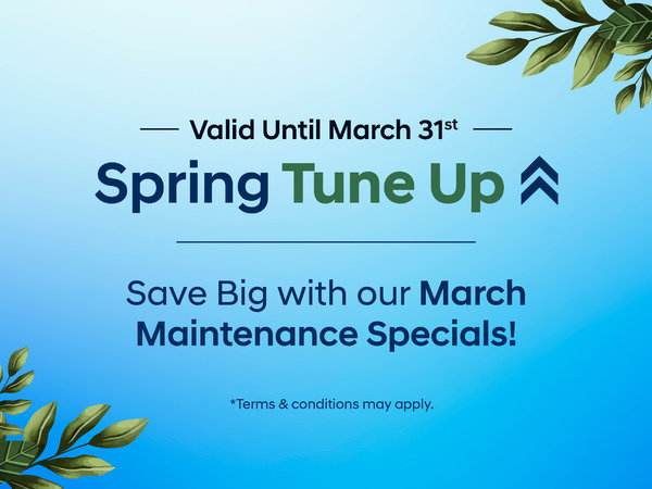 Spring Tune Up Special