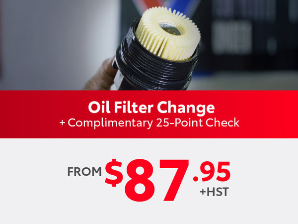 Oil and Filter Change