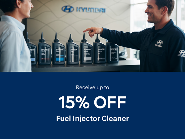 Fuel Injector Cleaner Special