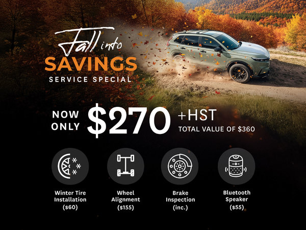 Fall Service Special - Package 2
