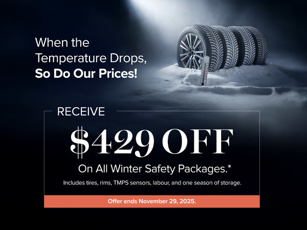 Winter Safety Package