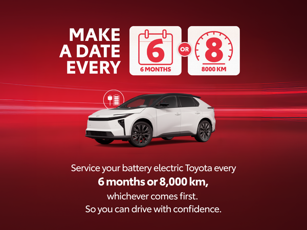 EV Maintenance Schedule