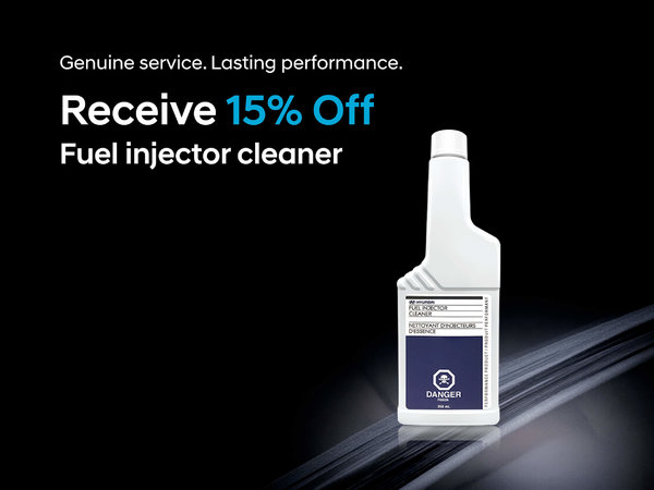 Fuel Injector Cleaner Special