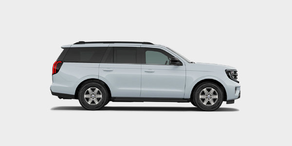 Ford Expedition ALUM Winter Tire Package