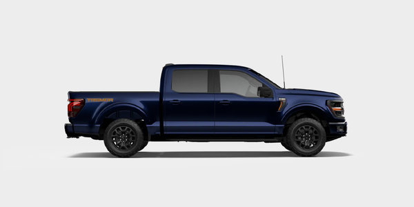 Ford F-150 ALUM Winter Tire Package