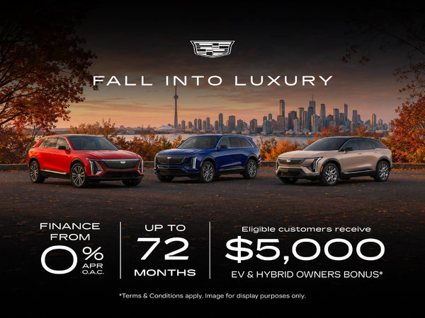 Fall Into Luxury
