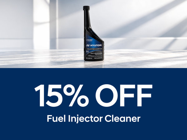 15% OFF Fuel Injector Cleaner