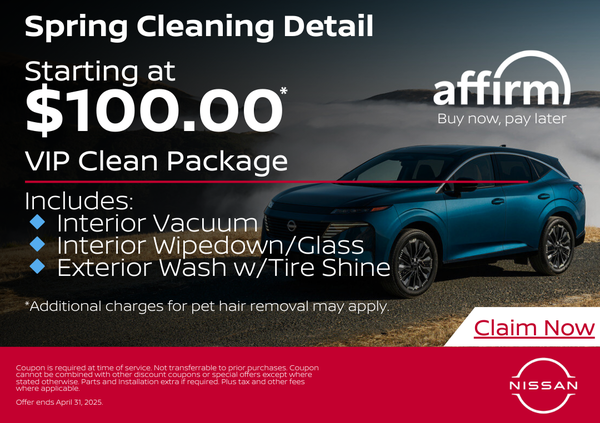 Spring Cleaning VIP Detail Special