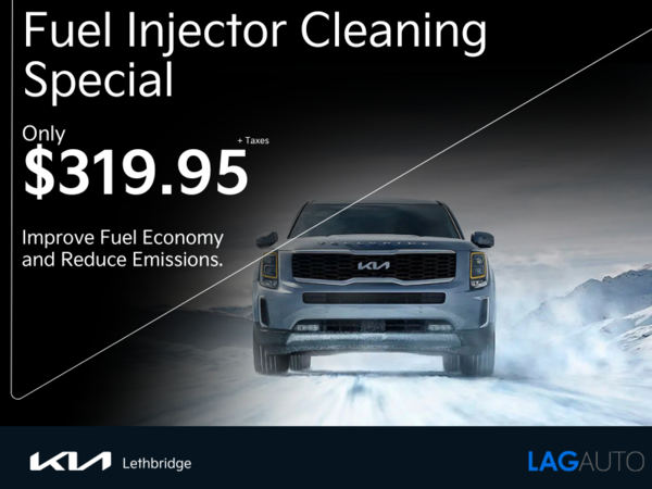 Fuel Injector Cleaning Special