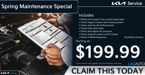 Spring Service Special