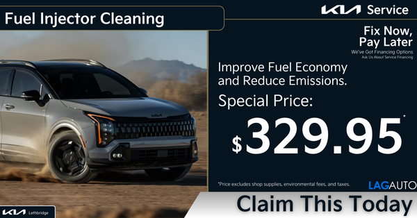 Fuel Injector Cleaning Special