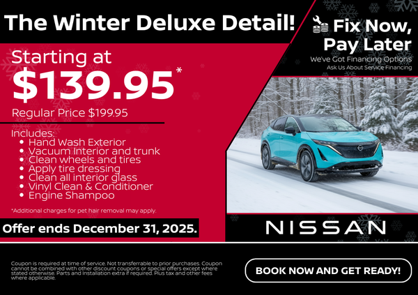 The Winter Deluxe Detail!