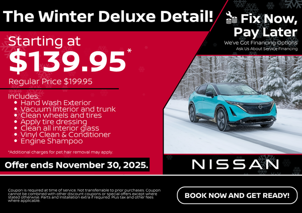 The Winter Deluxe Detail!