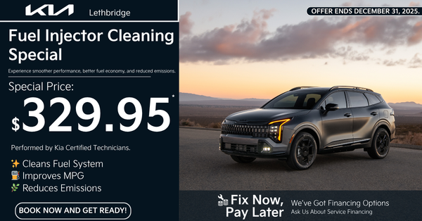 Fuel Injector Cleaning Special