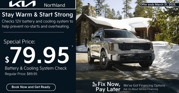 Battery and Cooling System Check | Winter Car Care Special