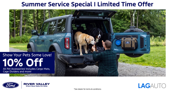 10% Off Pet Accessories