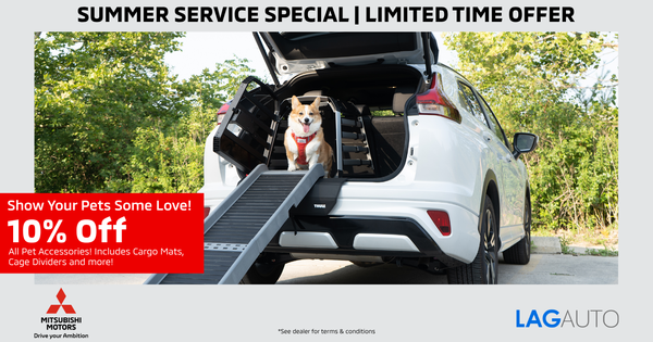 10% Off Pet Accessories